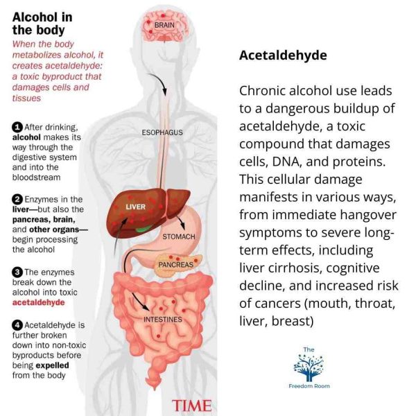 Alcohol Burner Risks Long-term effects of alcohol: 5 Shocking Health Risks