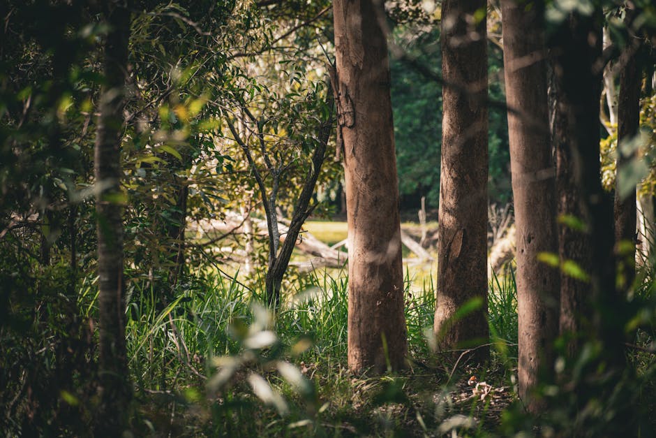 Long-term alcohol recovery