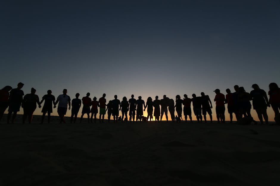 A silhouette of a large group of people holding hands in a long line against a sunset, symbolizing unity and trauma recovery support.